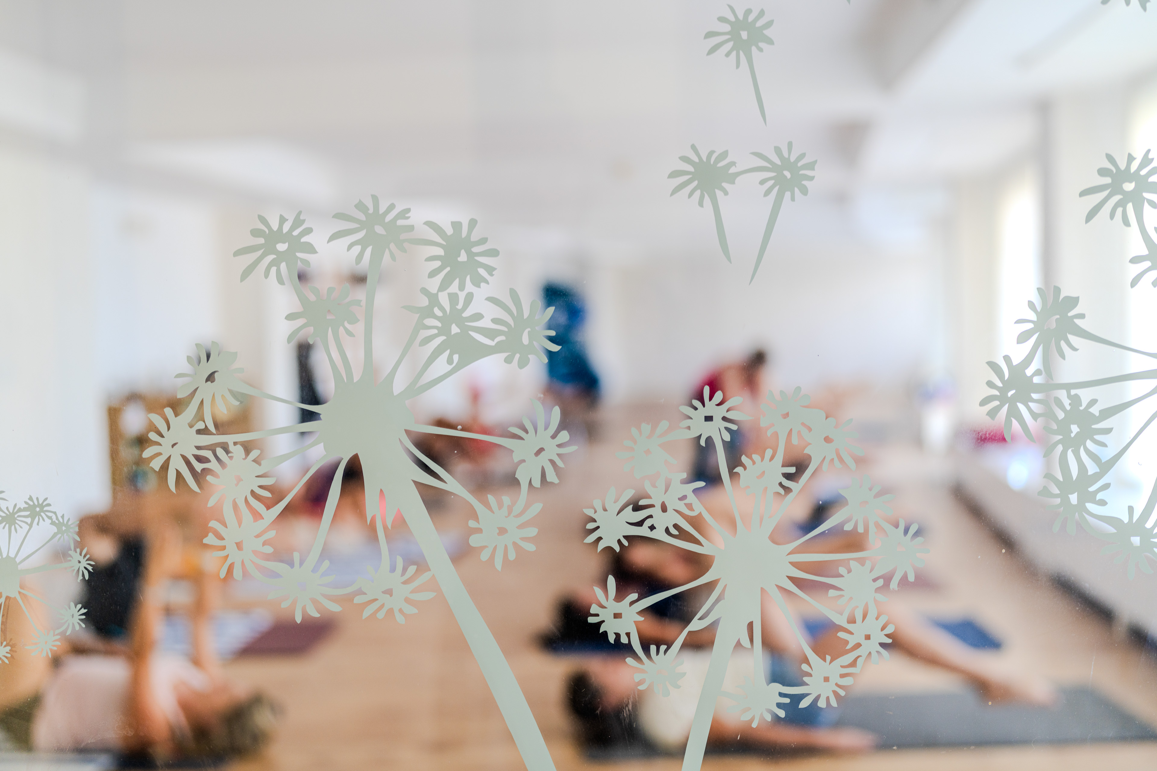  Studio Yoga & Pilates